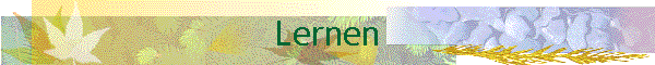 Lernen